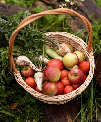 Panier de fruits et légumes