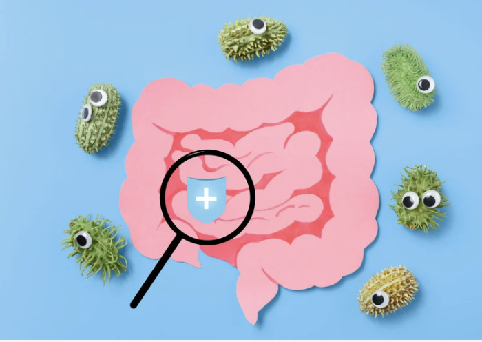 Sommeil réparateur microbiote gutup
